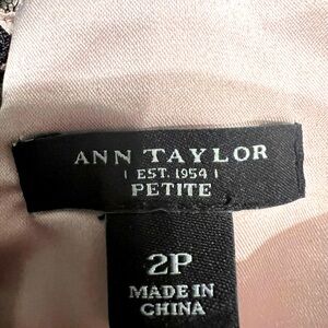 ANN TAYLOR Elegant dress
